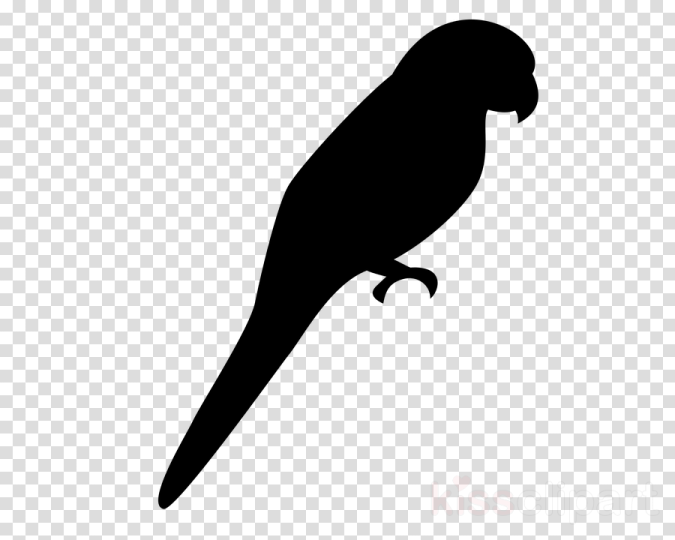 a black silhouette of a bird on a branch