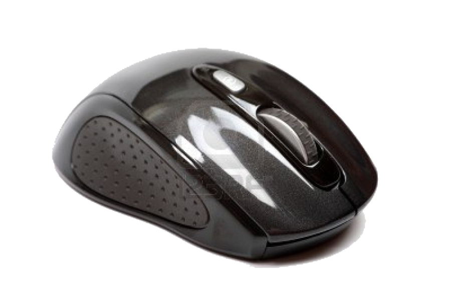 a computer mouse on a white background