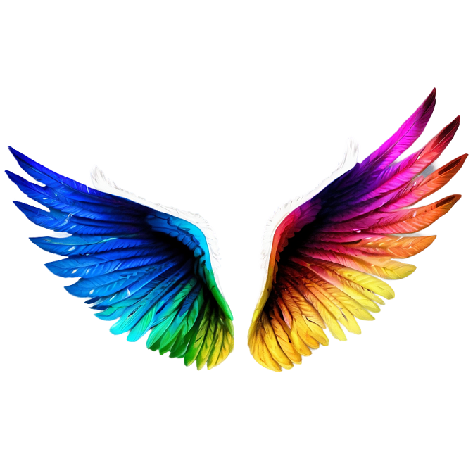an image of a rainbow colored wing