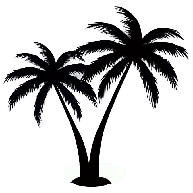 a palm tree silhouetted against a white background