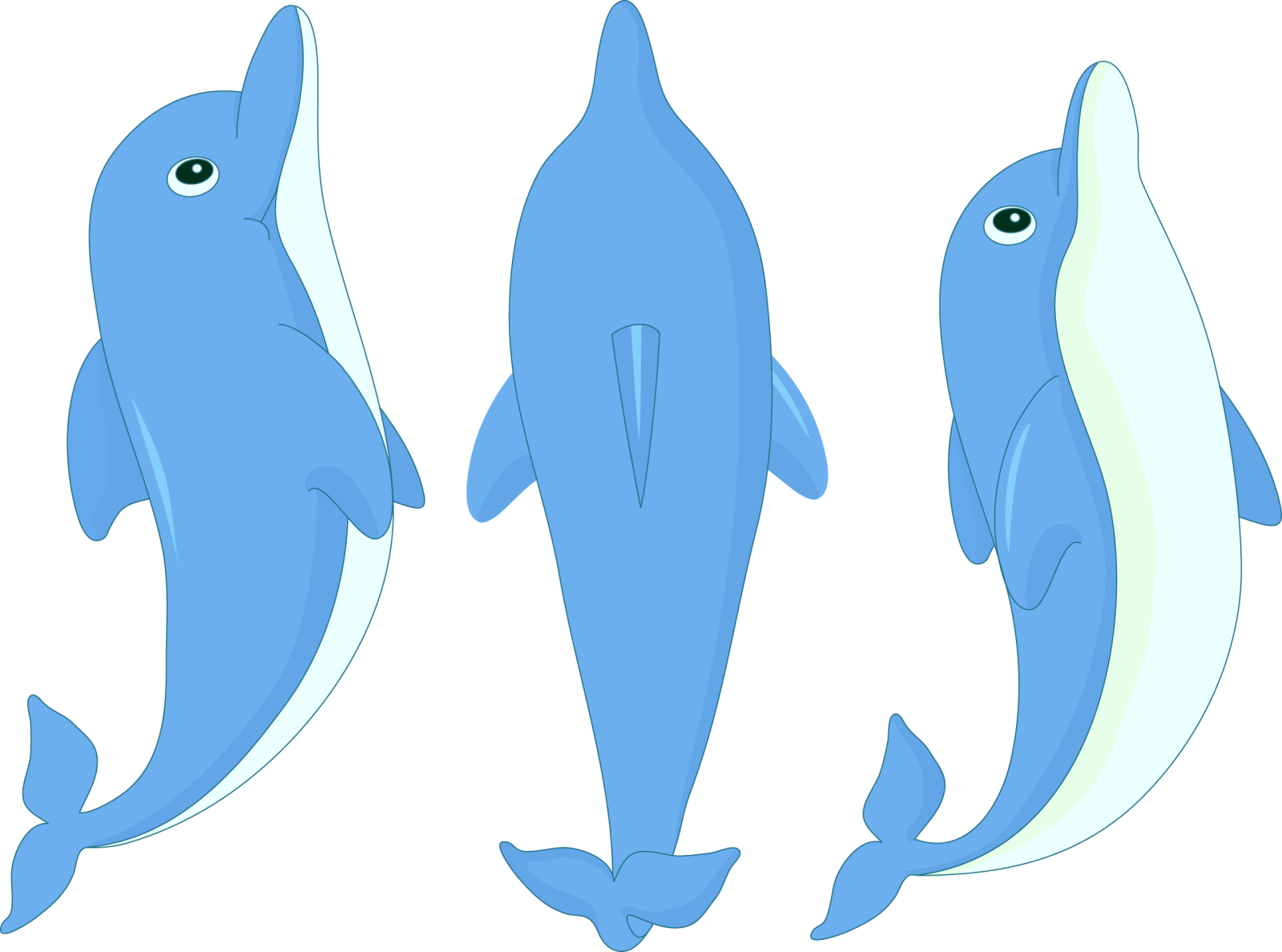 how to draw a dolphin