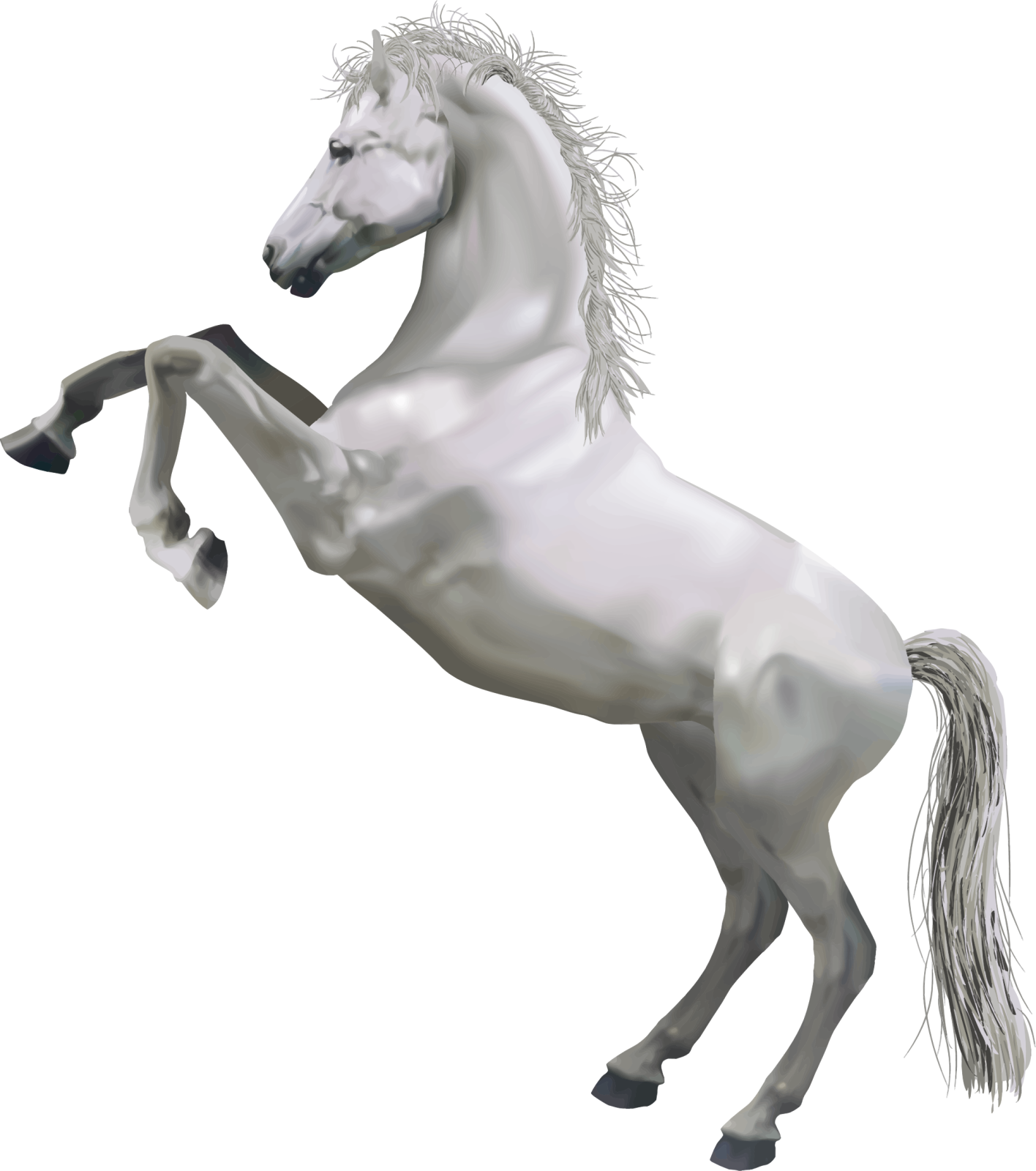 a white horse standing on its hinds