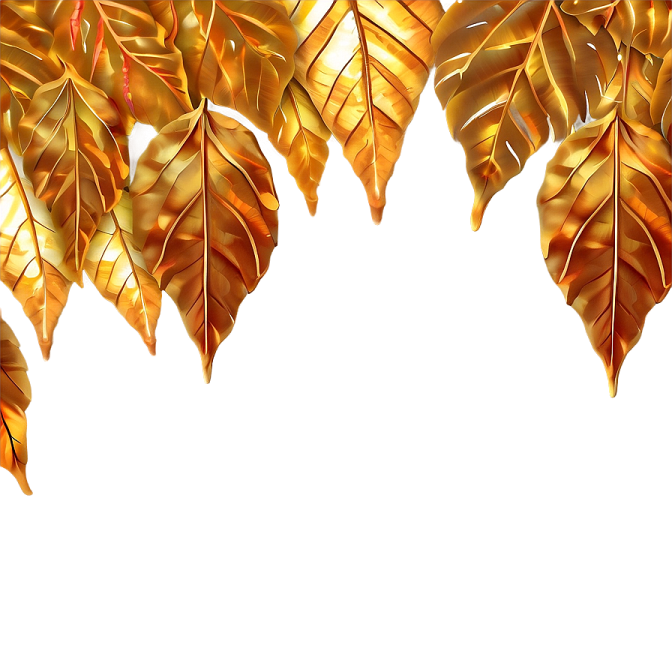 golden leaves on a white background