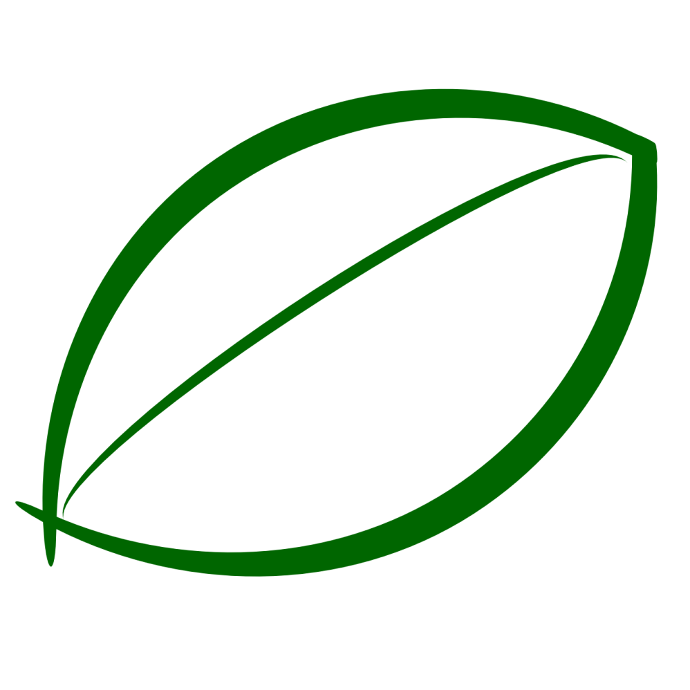 a green leaf on a white background
