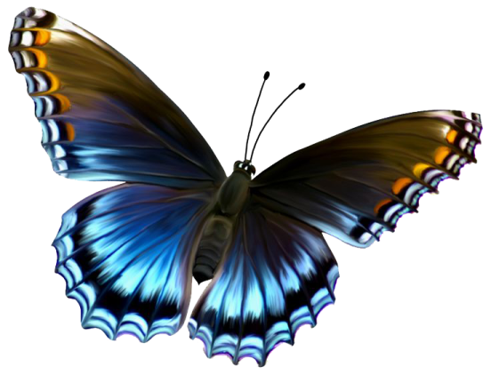 a blue butterfly on a white background