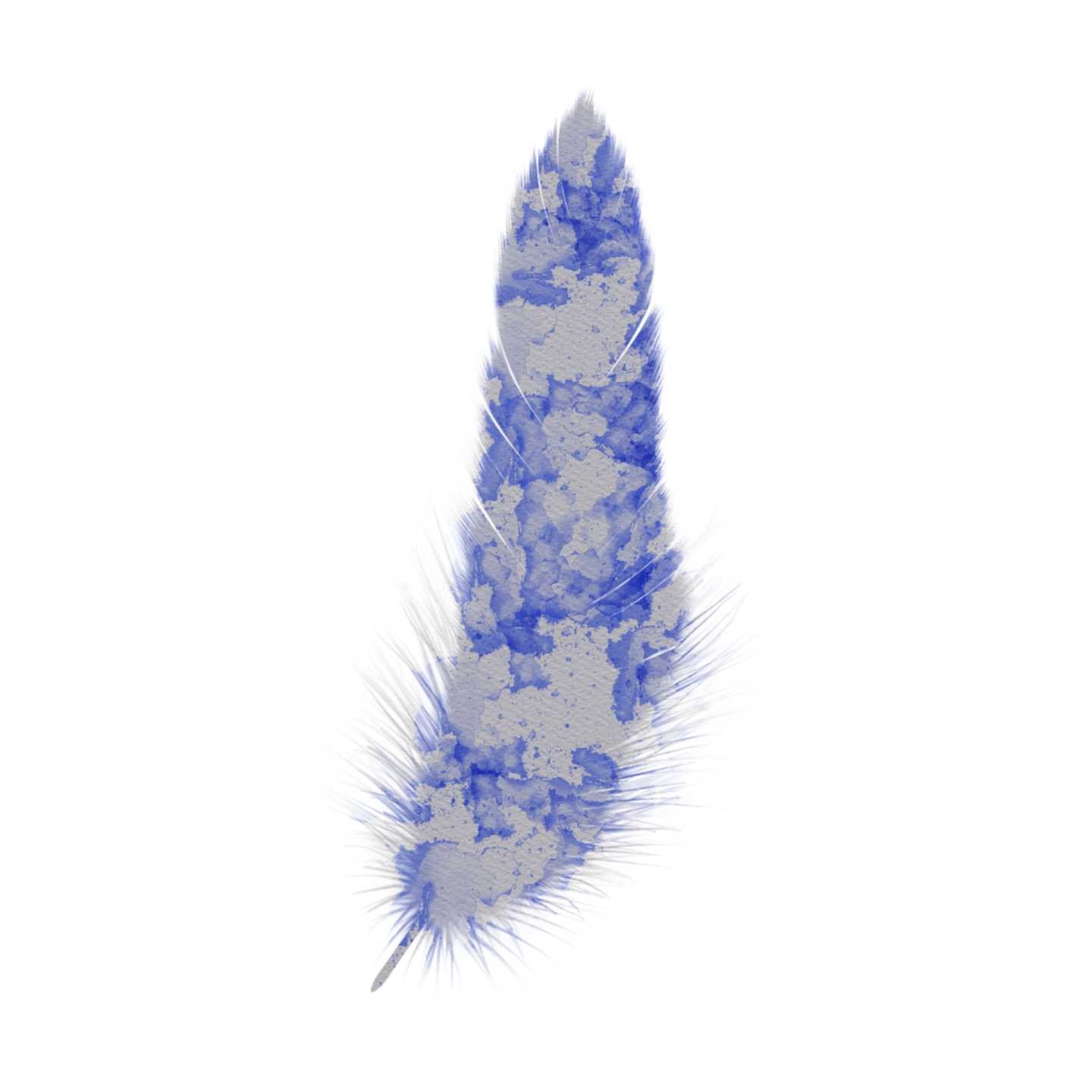 a blue feather on a white background