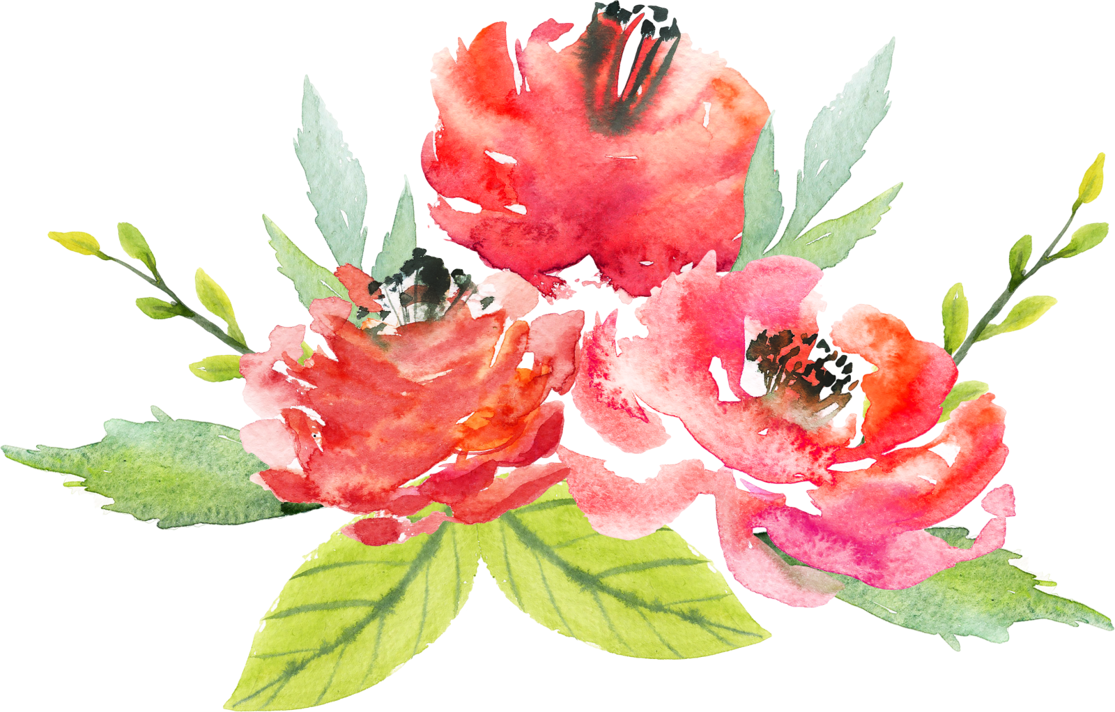 a watercolor painting of red flowers
