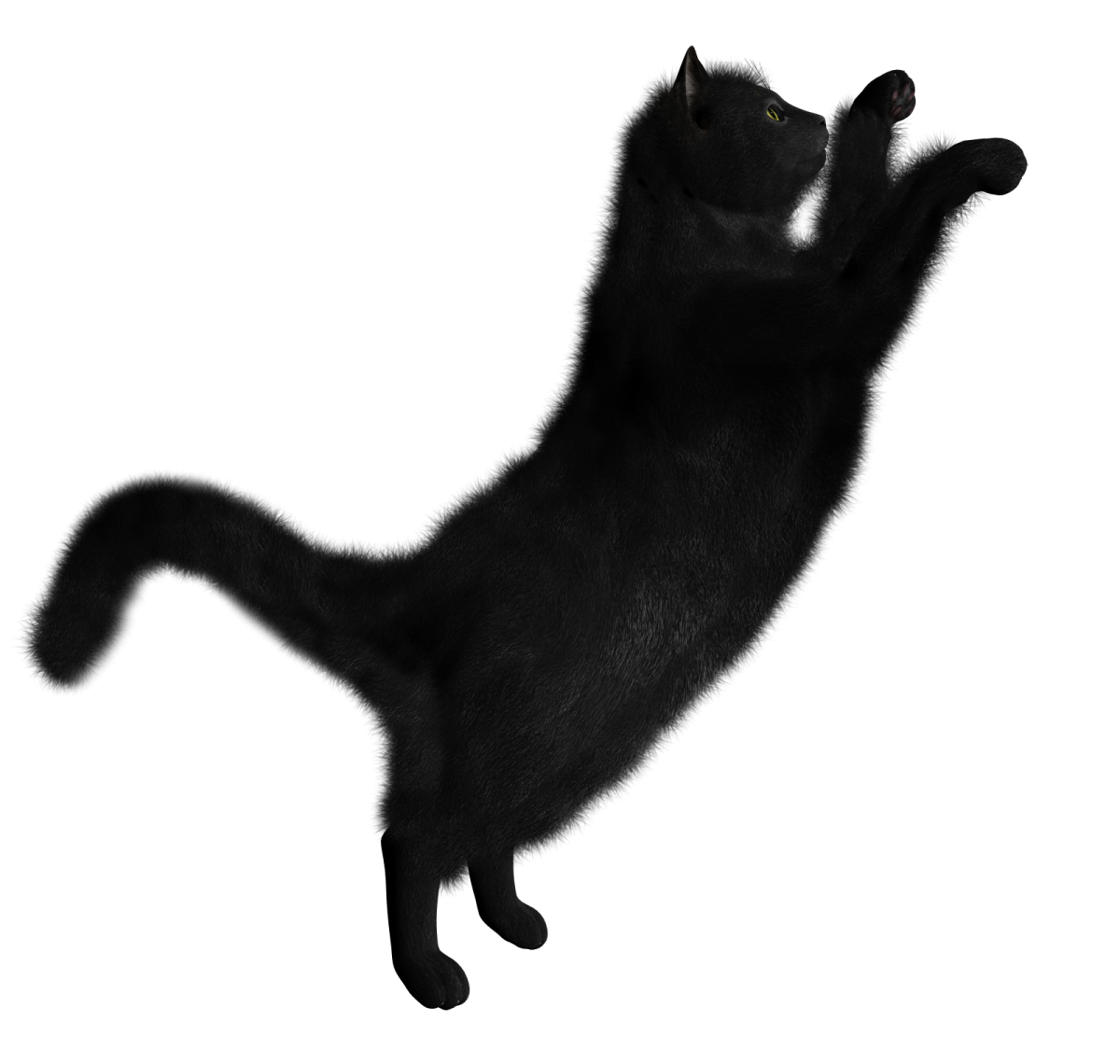 a black cat is jumping in the air