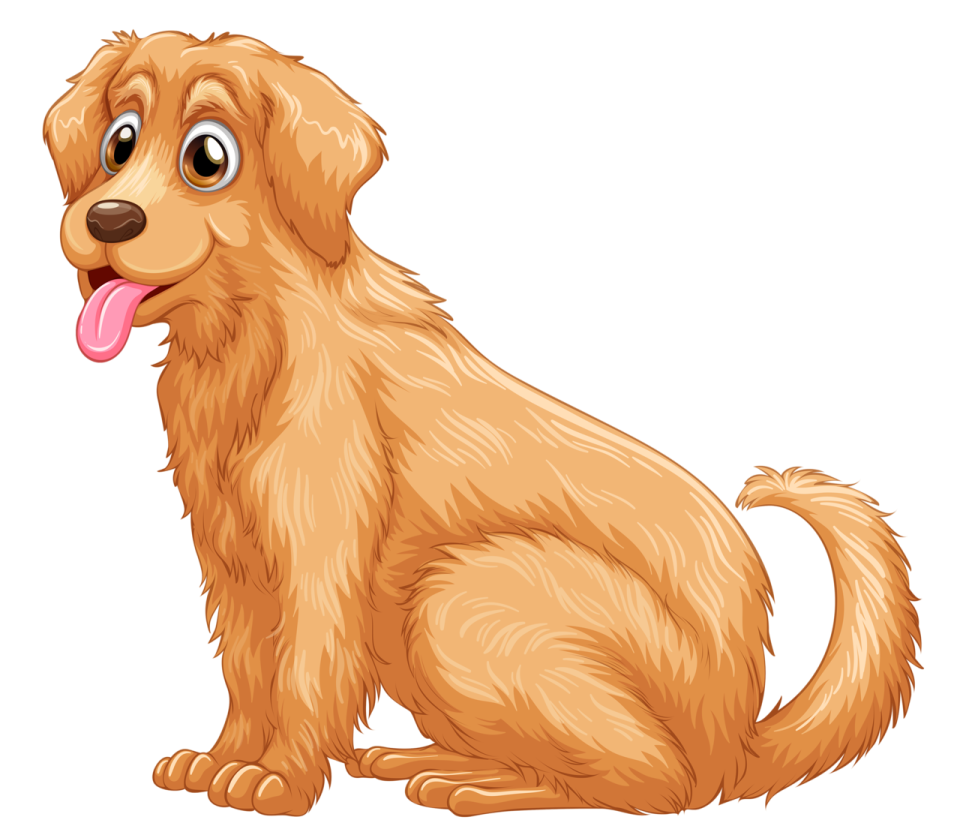 a brown dog sitting on a white background