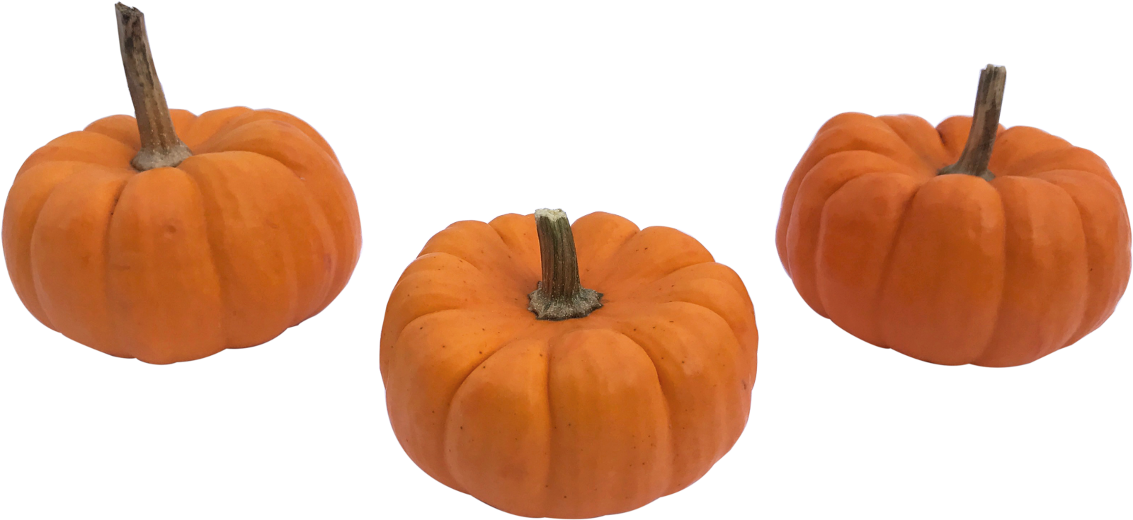 three small orange pumpkins on a white background