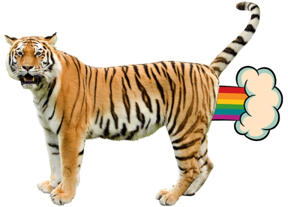 a tiger standing in front of a rainbow flag