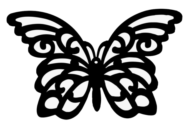 a black and white butterfly
