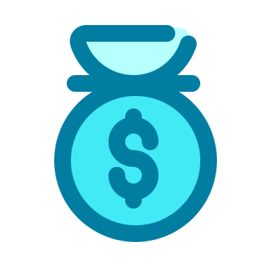 a money bag icon