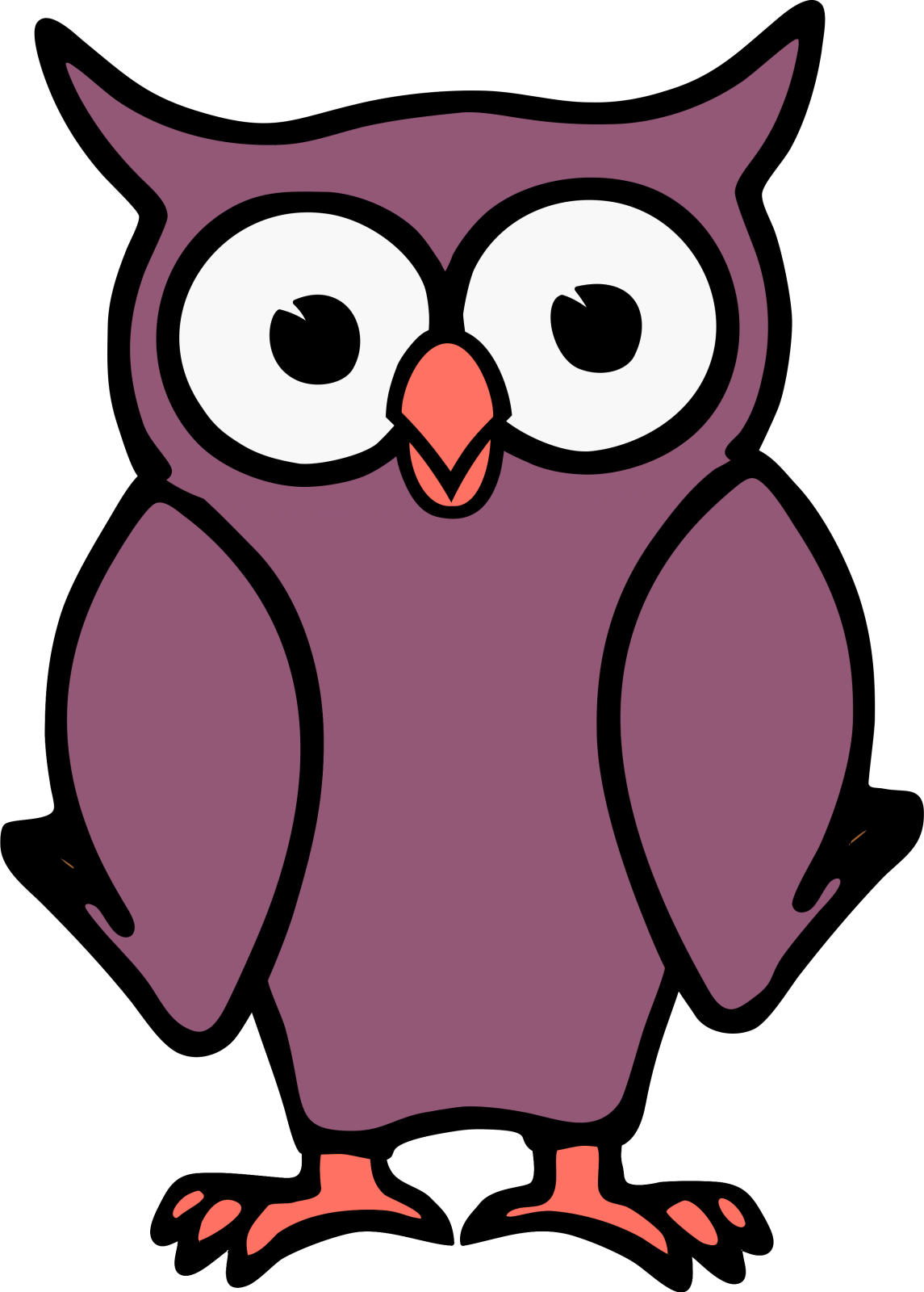 an owl with big eyes