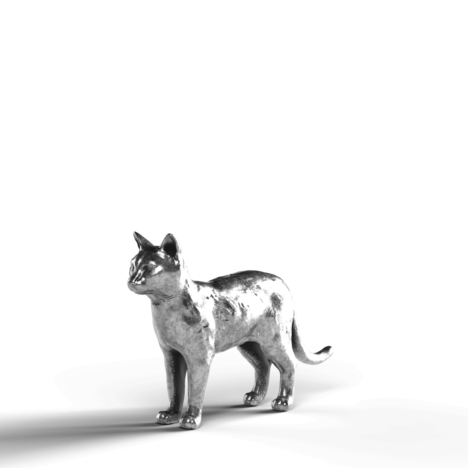 a cat standing on top of a white surface