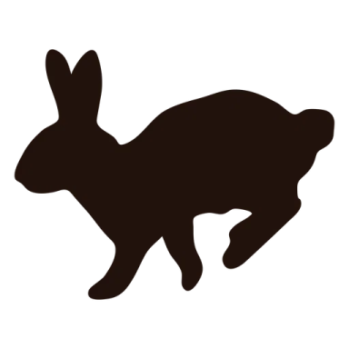 a silhouette of a rabbit