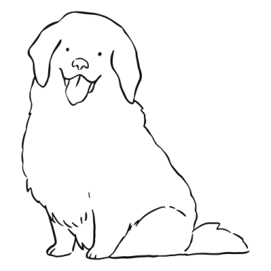 a black and white drawing of a dog