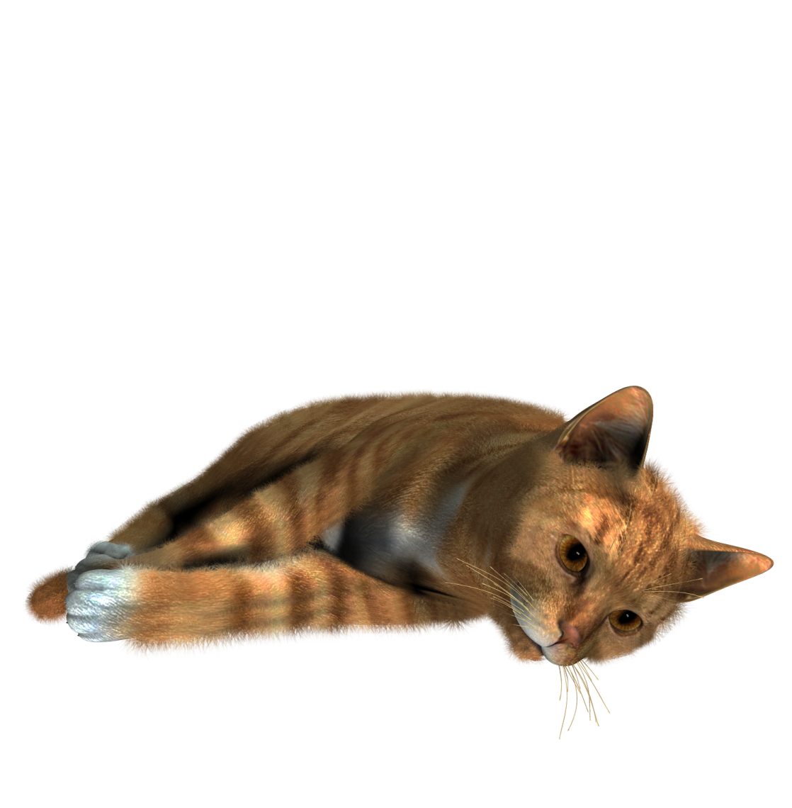a cat is laying down on the floor