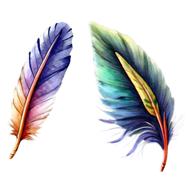 two colorful feathers on a white background