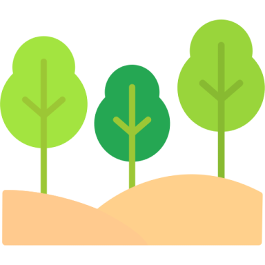 three trees in the middle of a hill