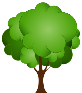 a tree with green leaves on it