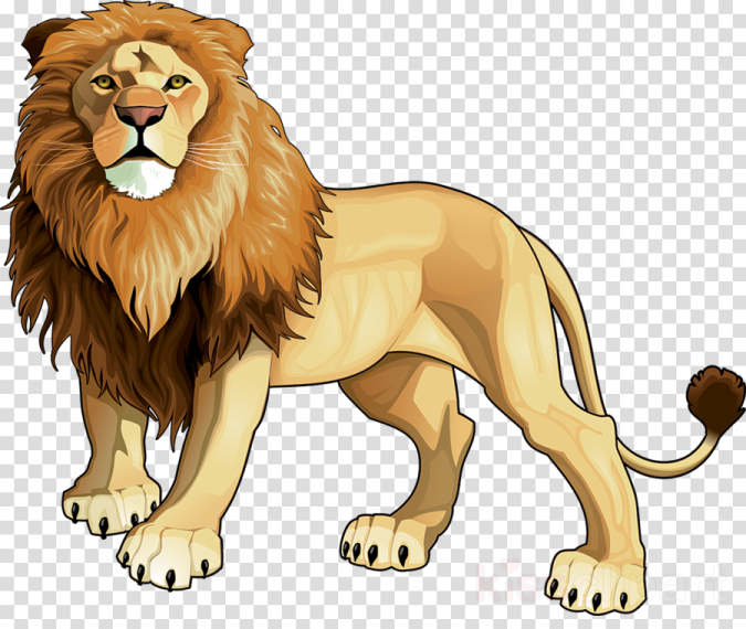 a cartoon lion on transparent background
