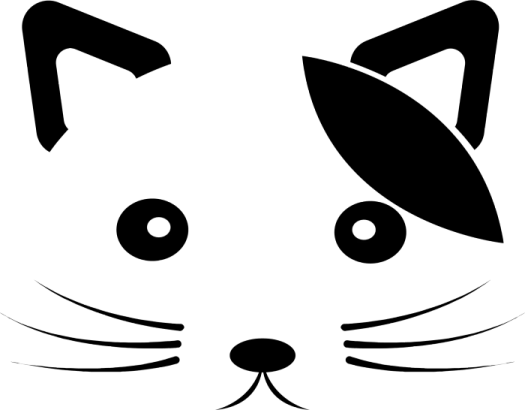 a black and white cat face