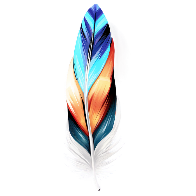 a colorful feather on a white background