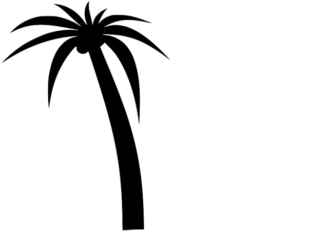 a black and white silhouette of a palm tree