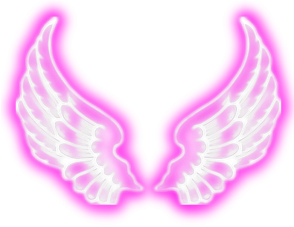 a pair of angel wings on a white background