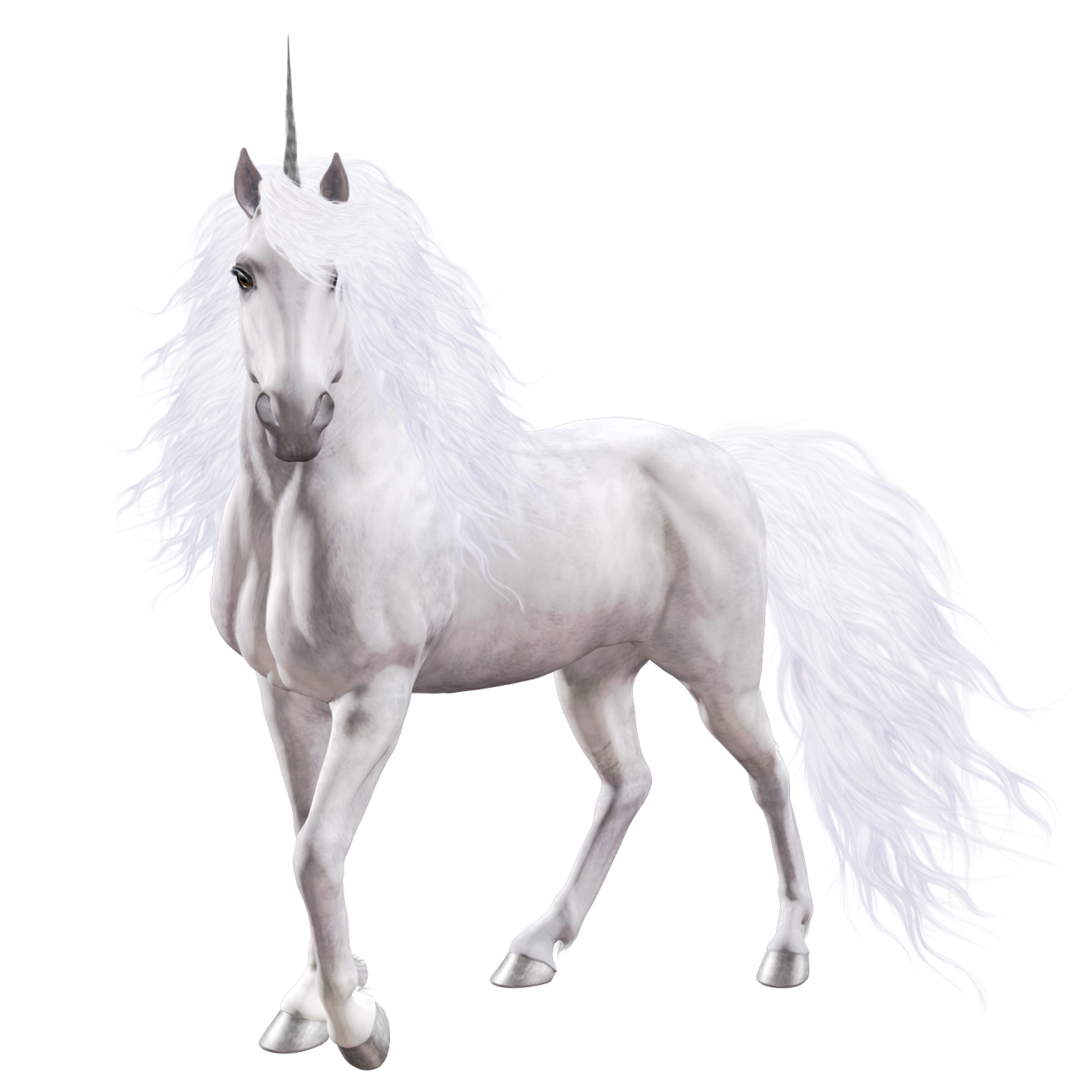 a white unicorn standing on its hinds