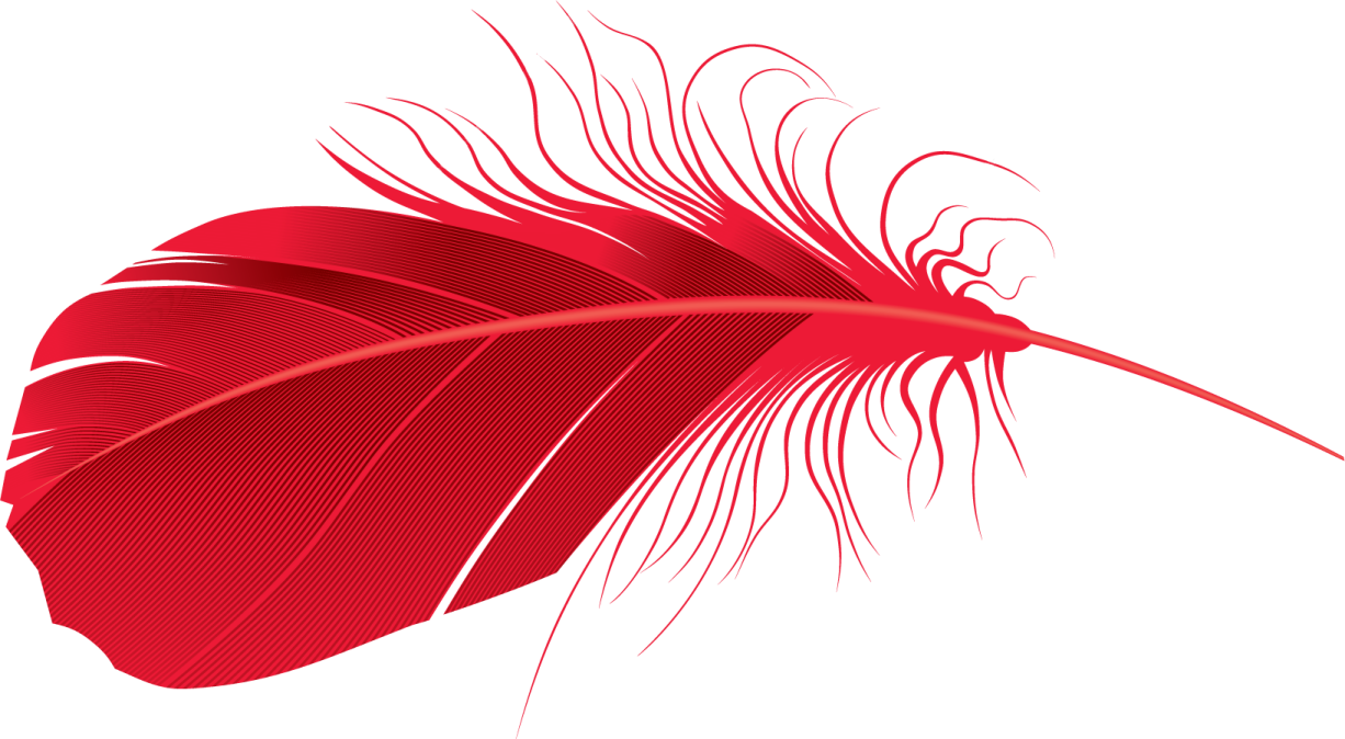 a red feather on white background