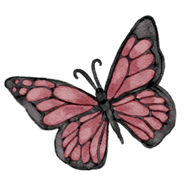 a pink butterfly on a white background