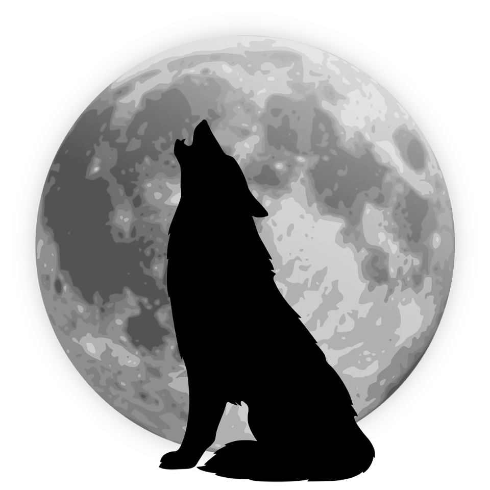 a wolf howling in front of the moon