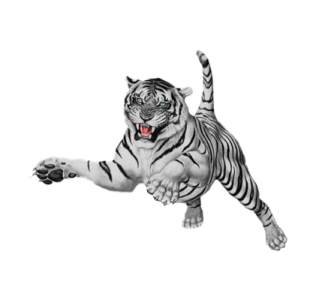 a white tiger jumping in the air