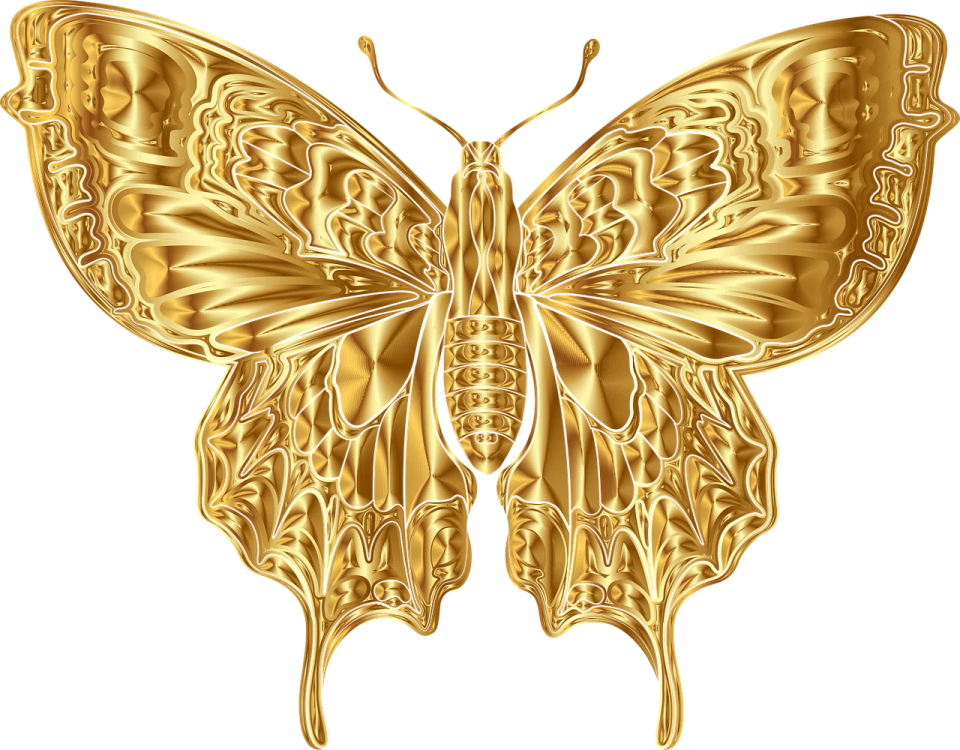 a golden butterfly on white background