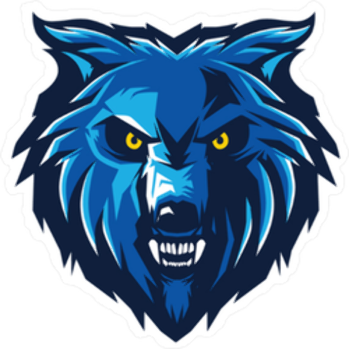 the logo of the university of north carolina