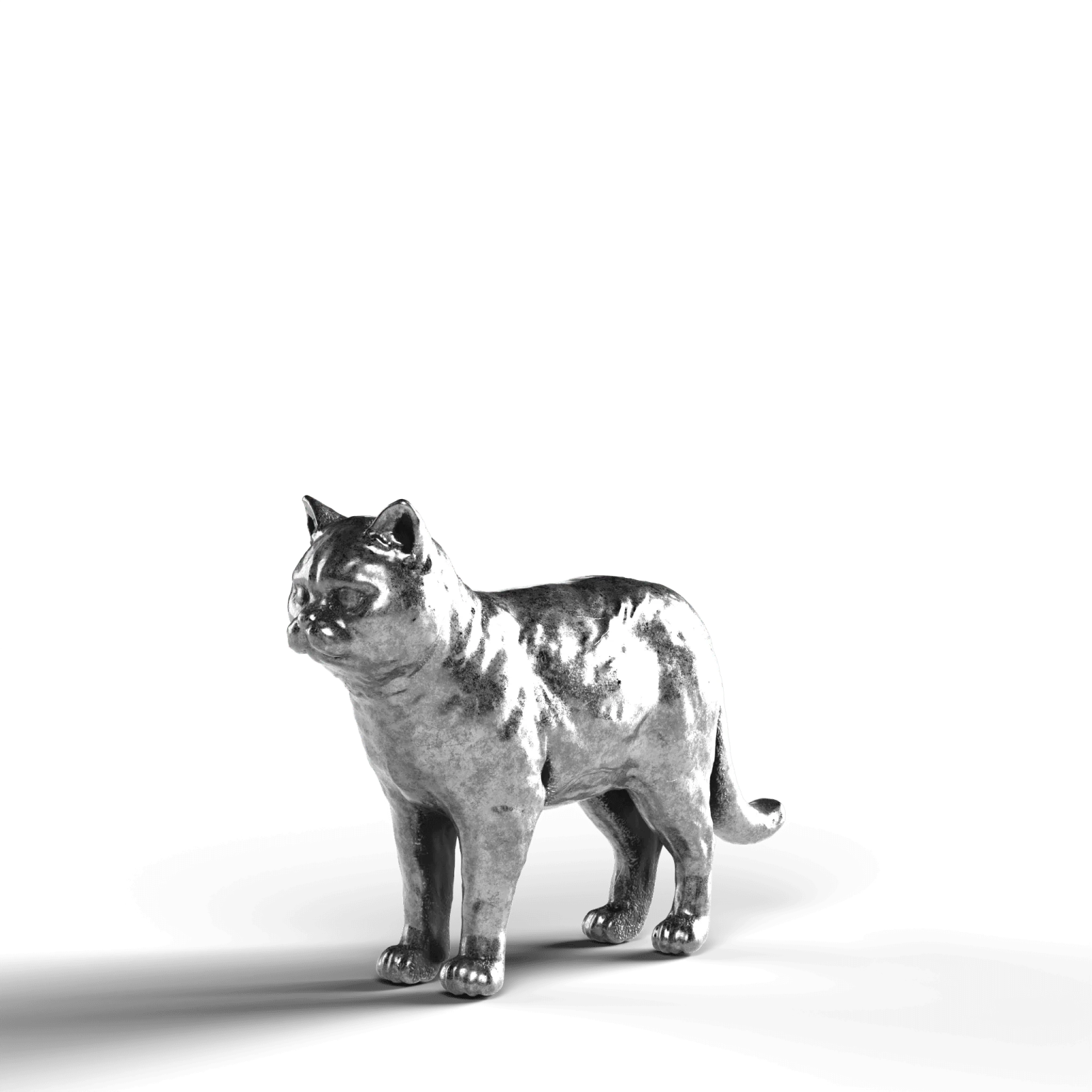 a black and white cat on a white background