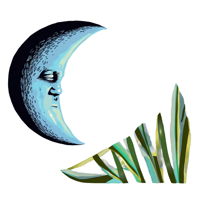 a drawing of the moon and grass
