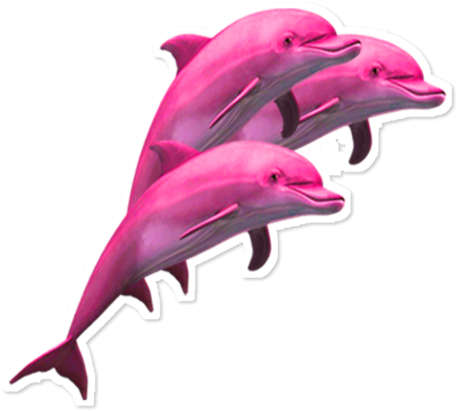 three pink dolphins stickers
