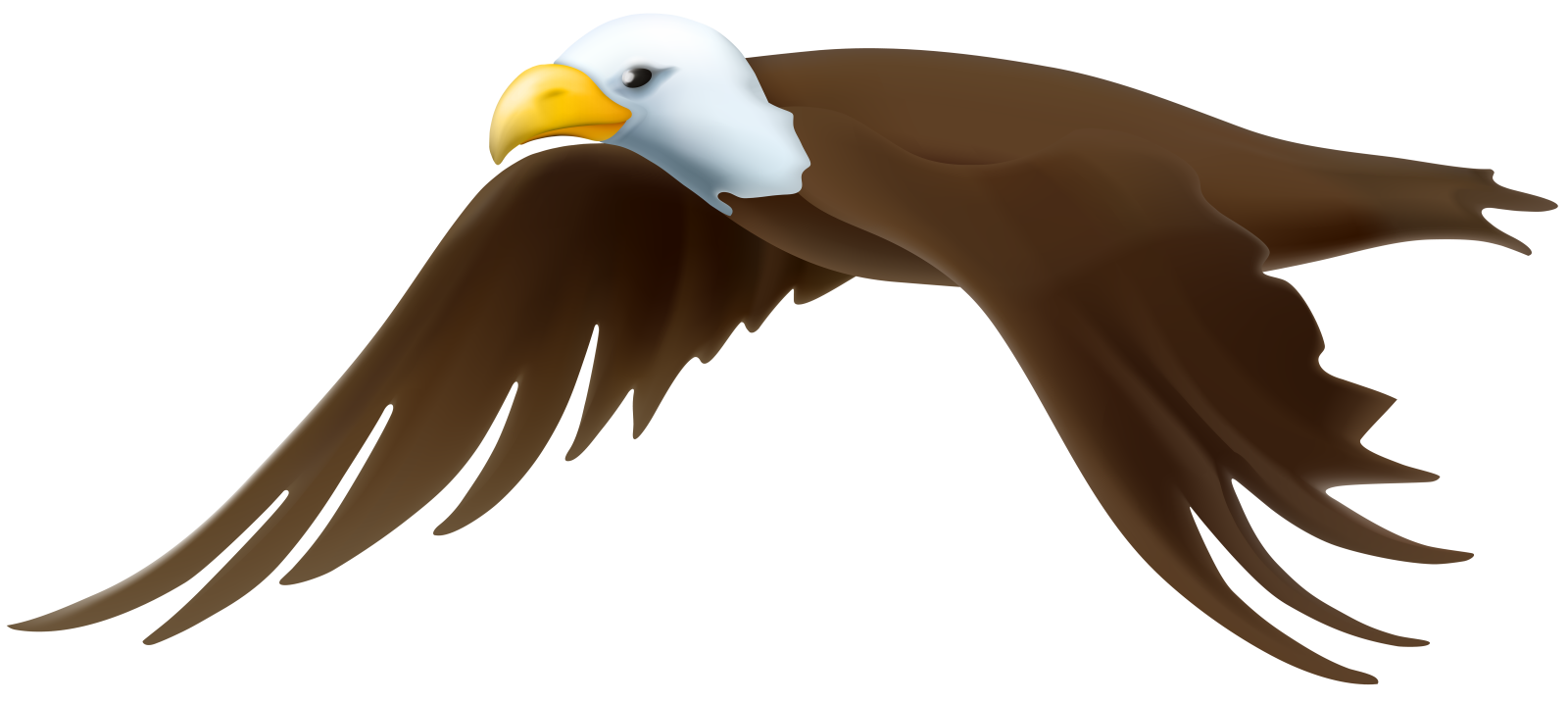 an eagle flying with its wings spread