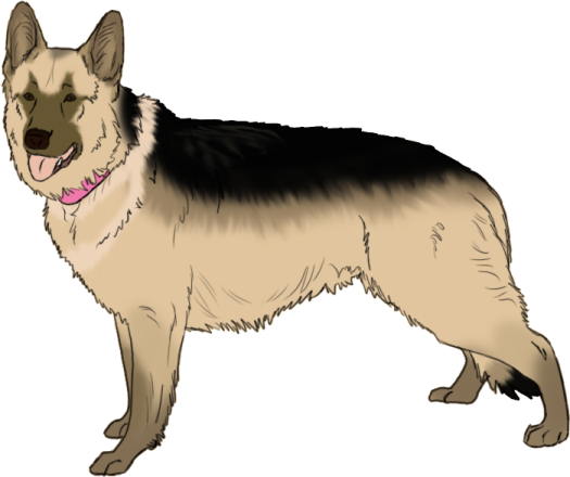 a drawing of a german shepherd dog