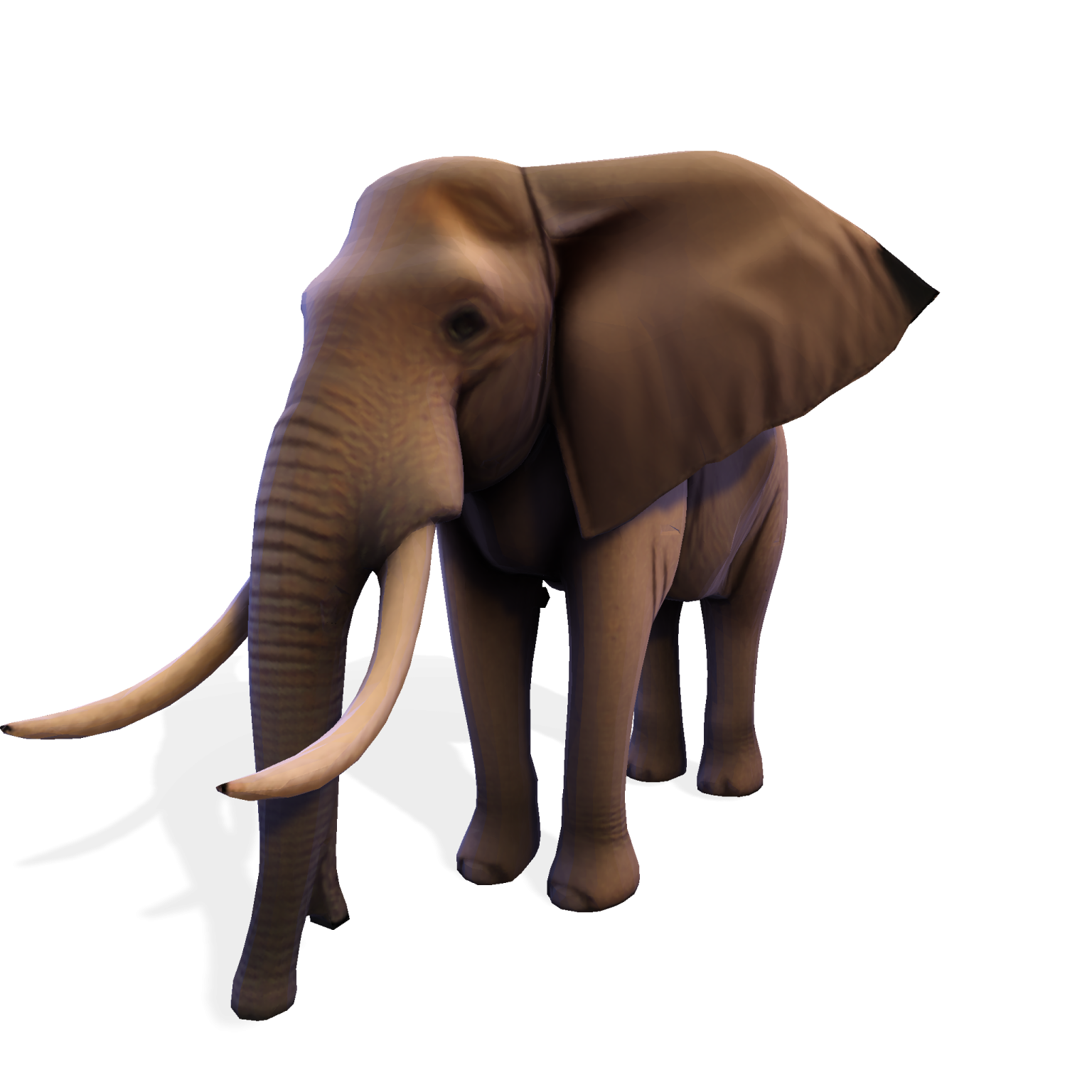 an elephant is standing on a white surface