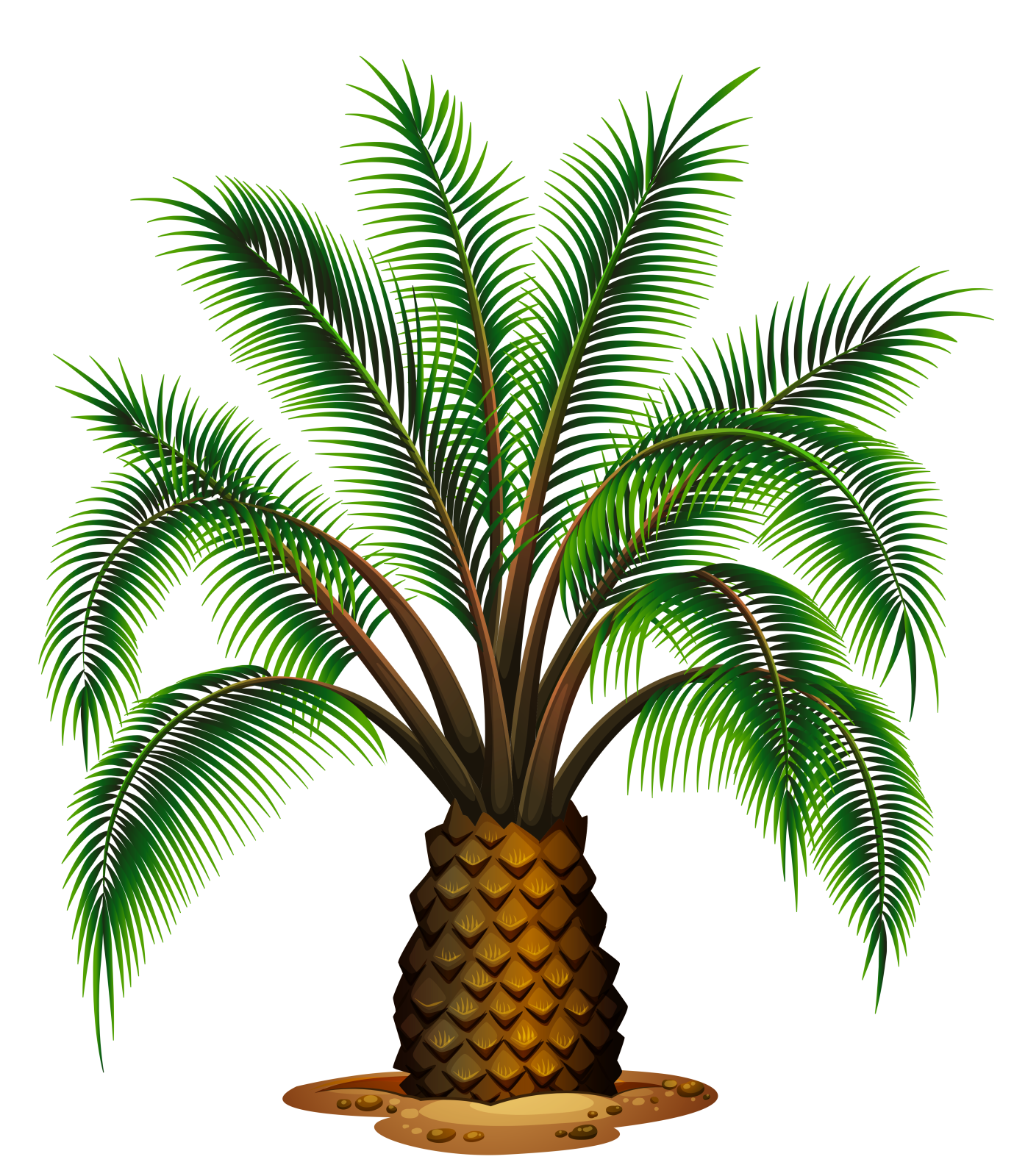 a palm tree on a white background