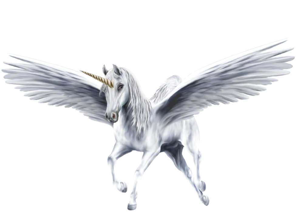 an image of a white unicorn with wings