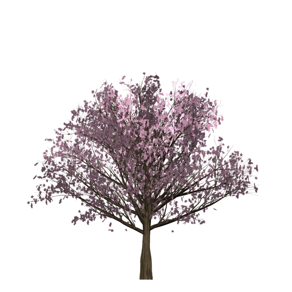 a tree with purple leaves on it