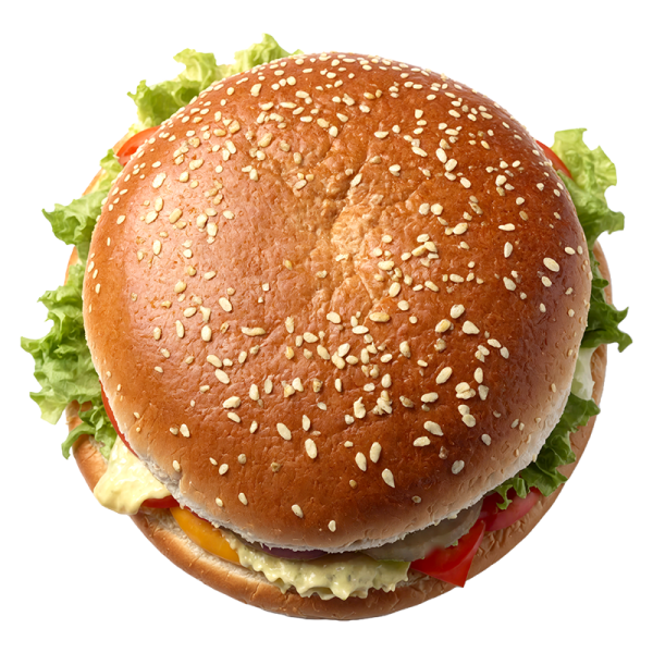 the bun of a hamburger