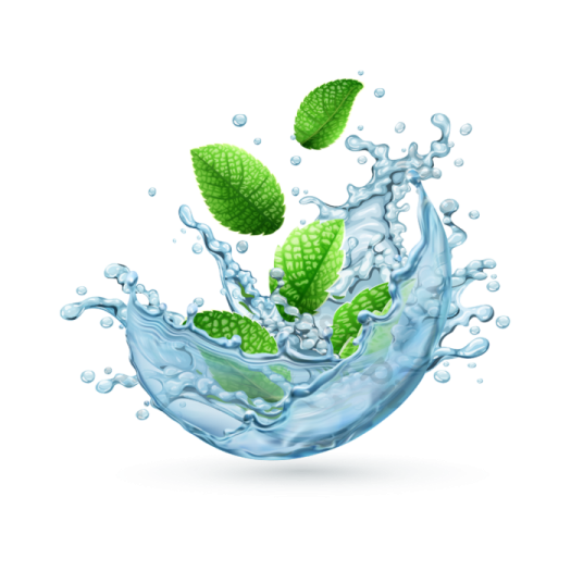 a splash of water with mint leaves