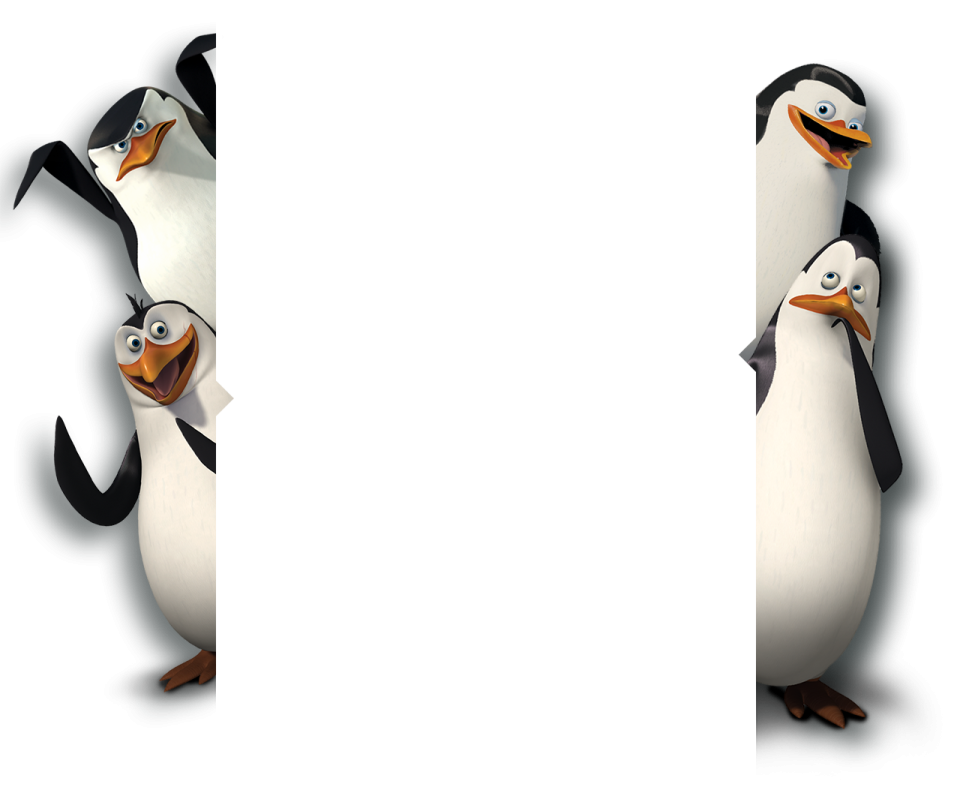 two penguins standing next to each other penguins