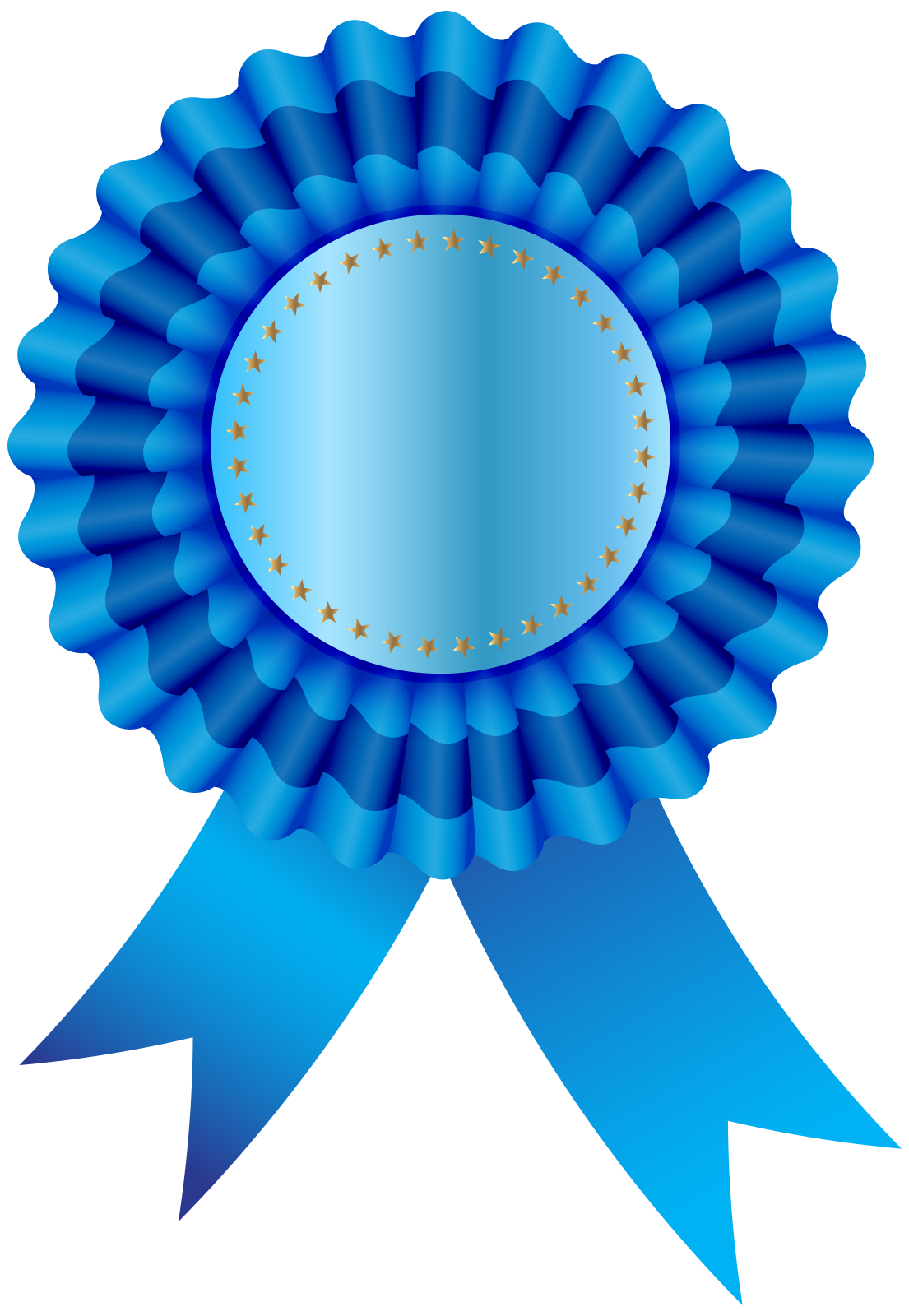 a blue rosette with stars on it